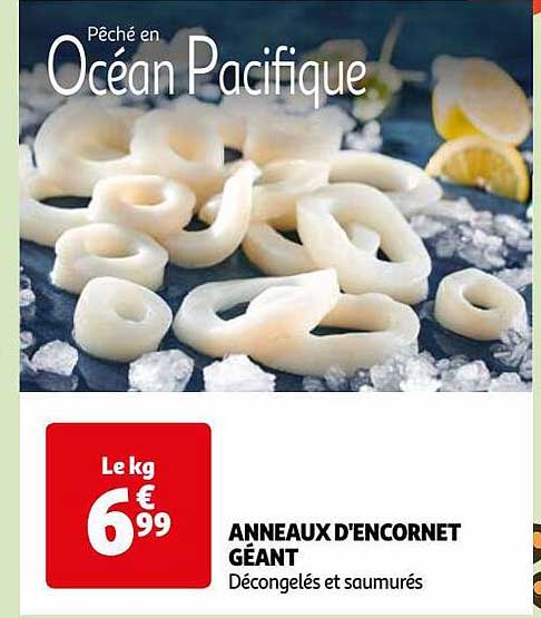 anneaux d'encornet géant