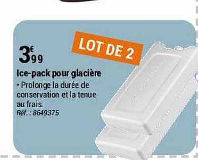 Ice-pack Pour Glacière