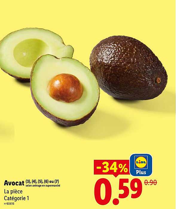 Avocat