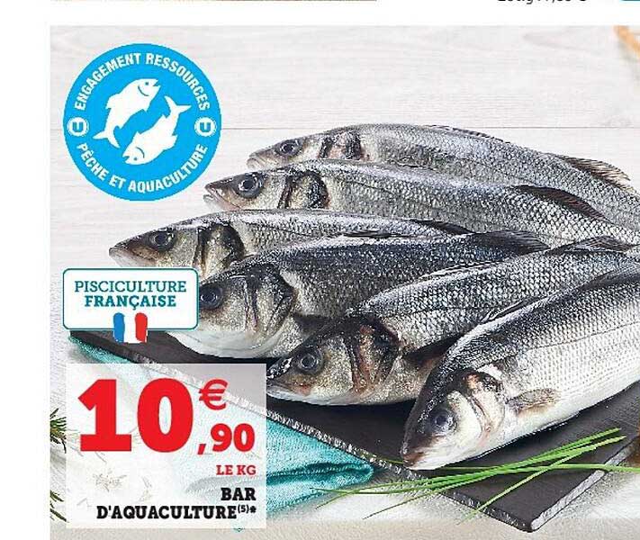 Bar D'aquaculture