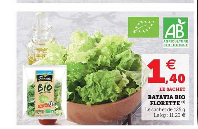 Batavia Bio Florette