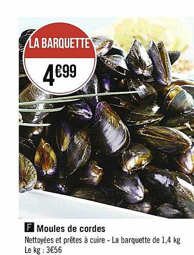 Moules De Cordes