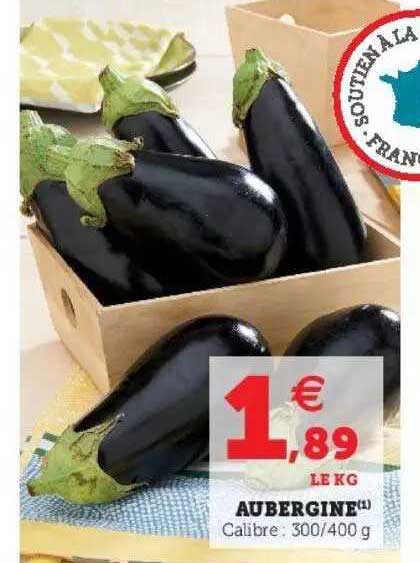 Aubergine