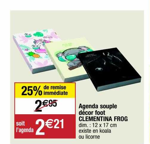 agenda souple décor foot clémentina frog