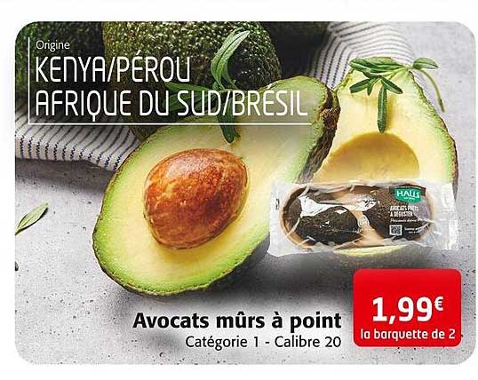 avocats mûrs à point