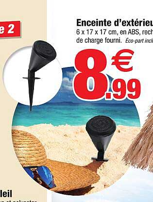 enceinte d'extérieur appairée