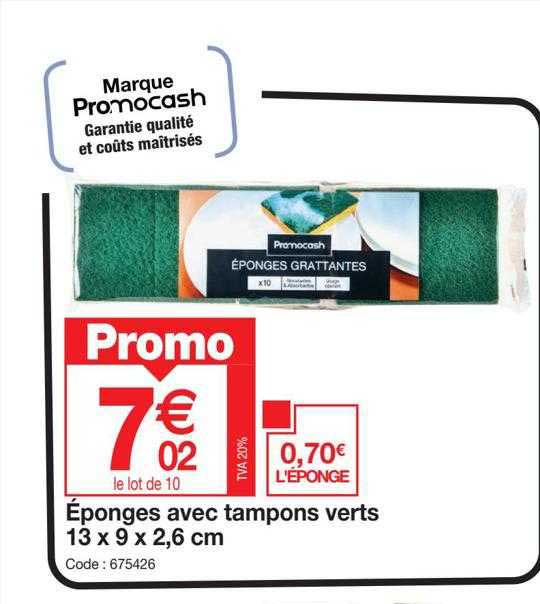 éponges Avec Tampons Verts