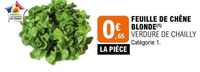 feuille de chêne blonde verdure de chailly