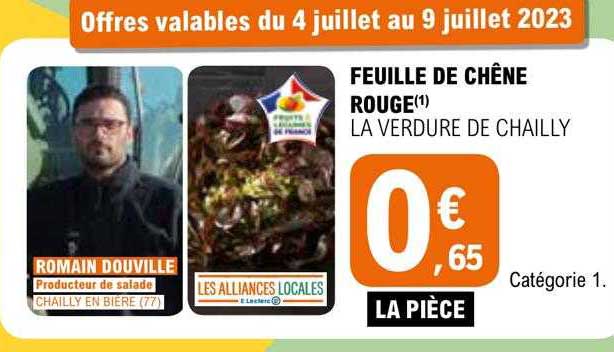 feuille de chêne rouge la verdure de chailly