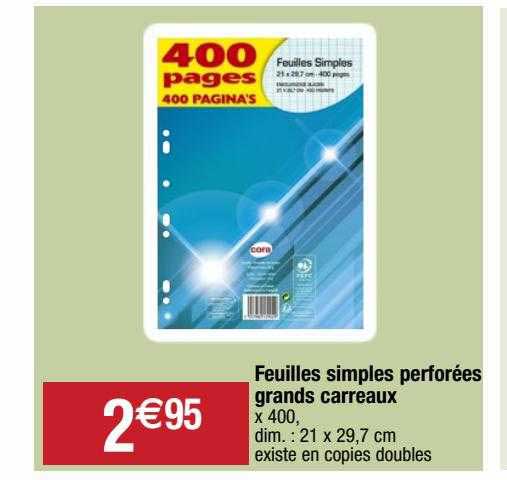 feuilles simples perforées grands carreaux