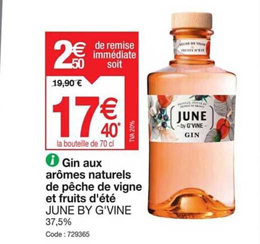 gin aux arômes naturels de pêche de vigne et fruits d'été june by g'vine