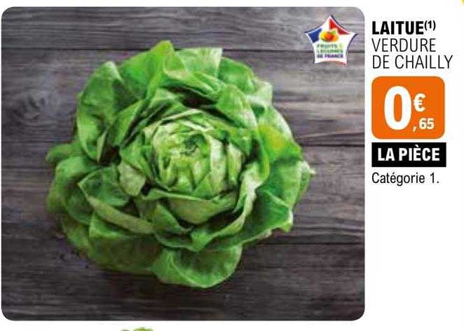 laitue verdure de chailly