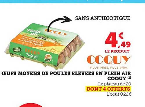 œufs moyens de poules élevées en plein air coquy