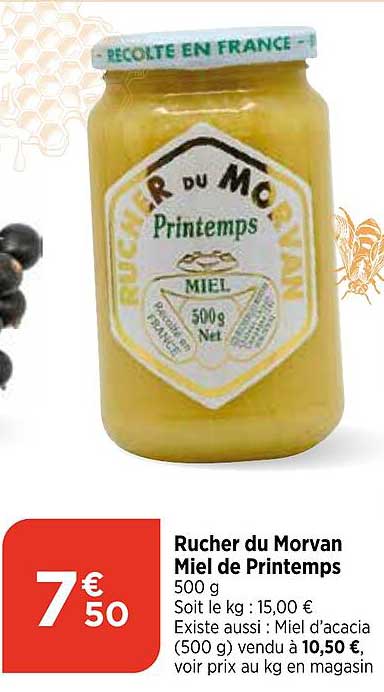 rucher du morvan miel de printemps