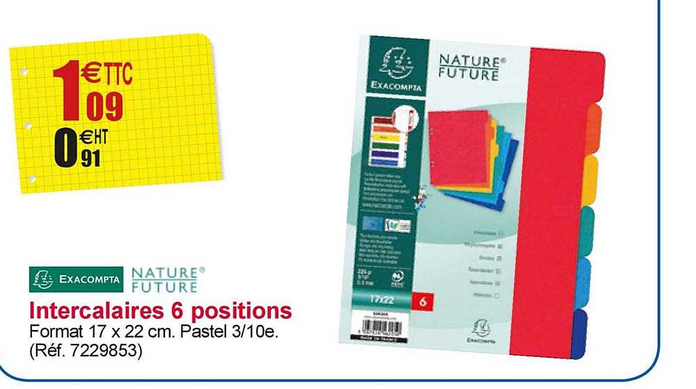 intercalaires 6 positions exacompta nature future