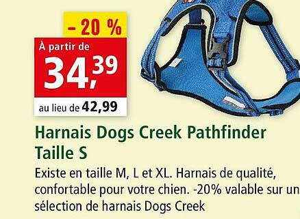 harnais dogs creek pathfinder taille s