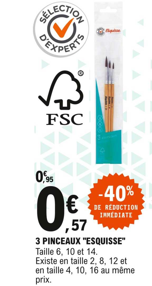 3 Pinceaux "esquisse"