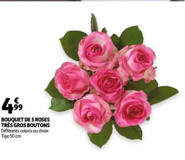 bouquet de 5 roses très gros boutons