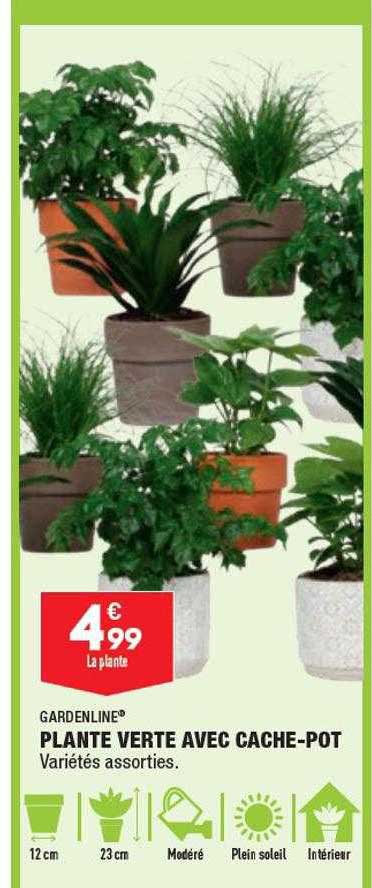 plante verte avec cache-pot gardenline