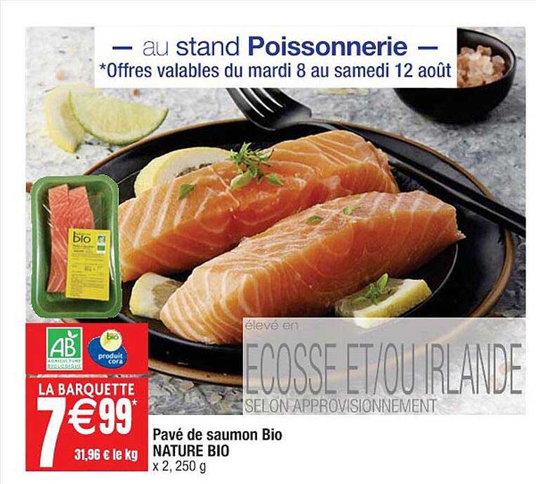 Pavé De Saumon Bio Nature Bio