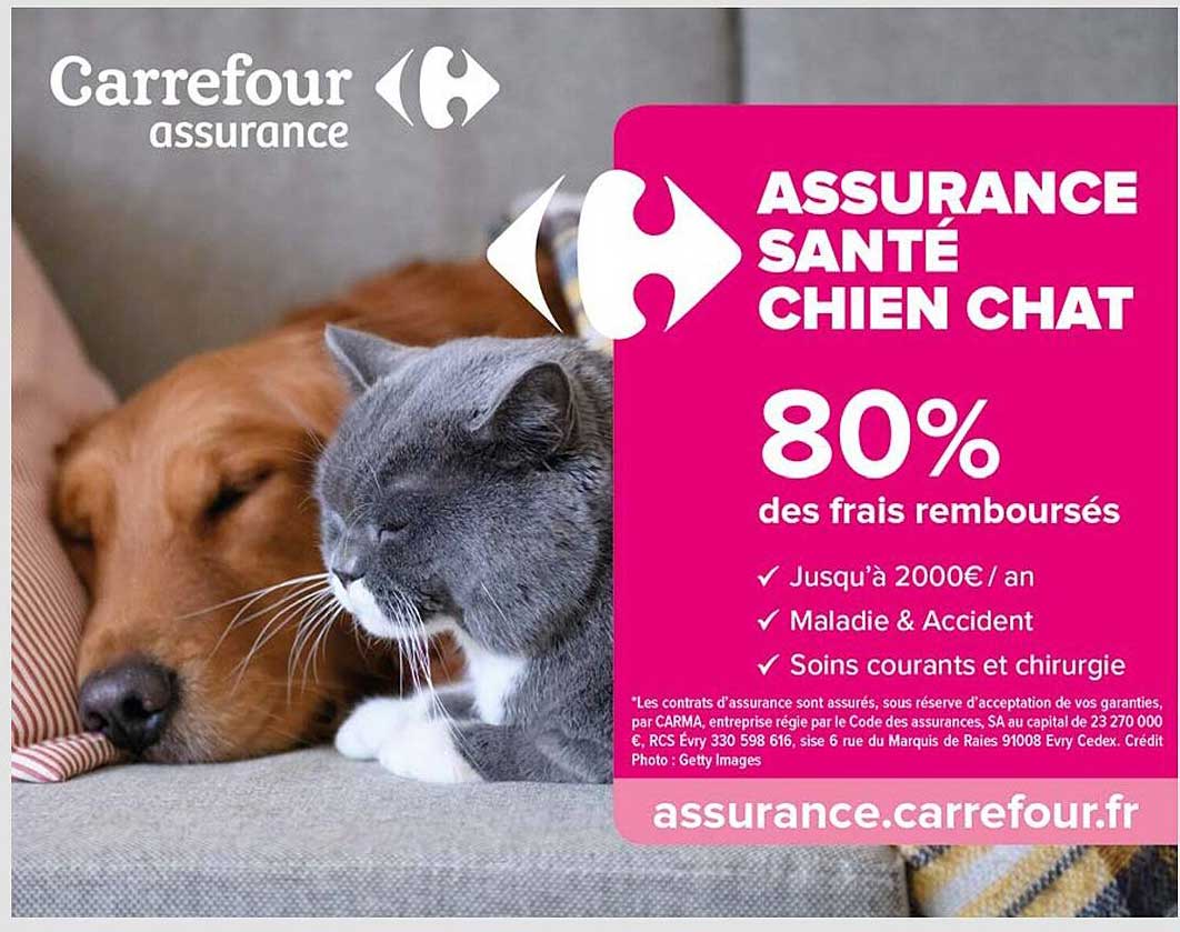 assurance santé chien chat