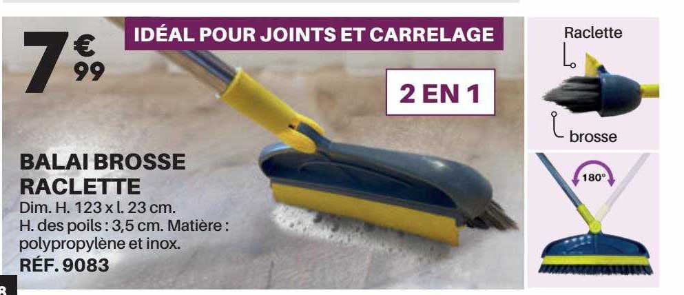 Balai Brosse Raclette