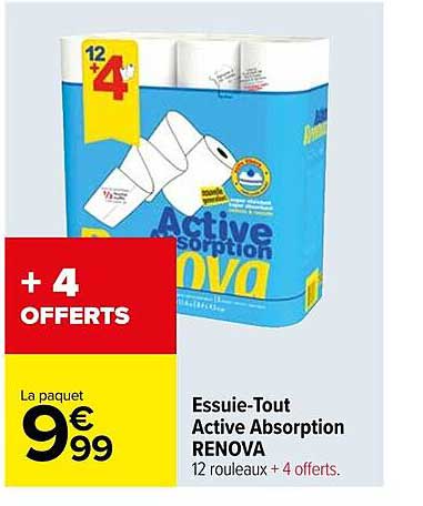 essuie-tout active absorption renova