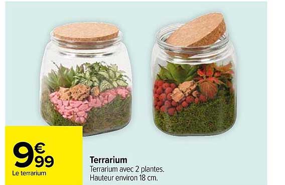 Terrarium