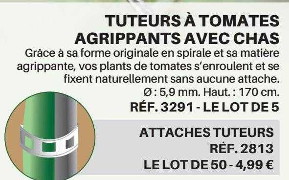 tuteurs à tomates agrippants avec chas