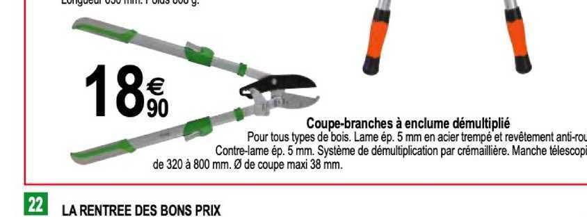 Coupe Branches à Enclume Démultiplié