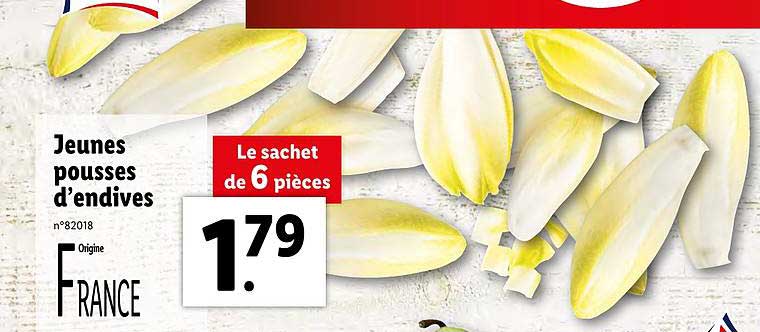 jeunes pousses d'endives
