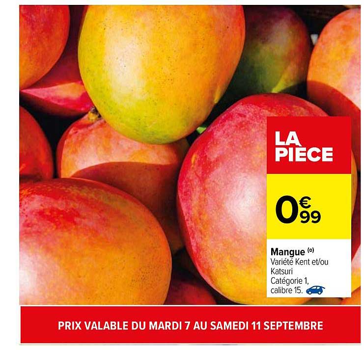 mangue kent et-ou katsuri