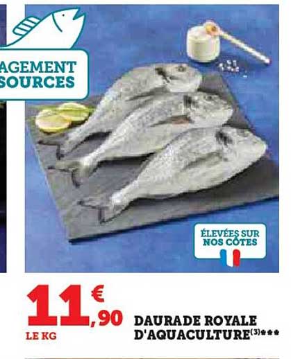 Daurade Royale D'aquaculture