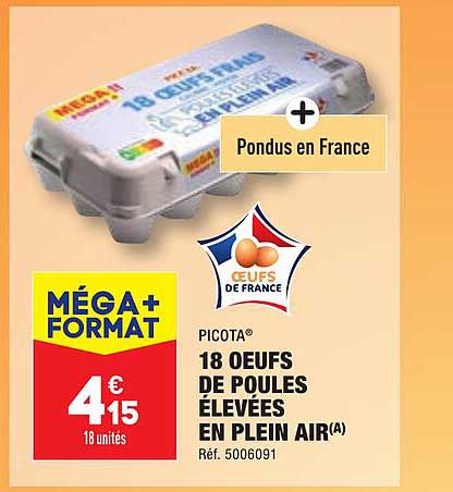 18 œufs de poules élevées en plein air picota