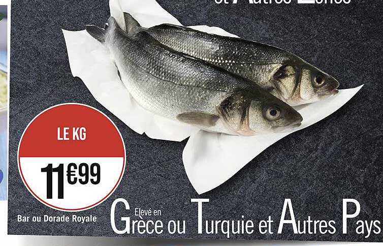 Bar Ou Dorade Royale