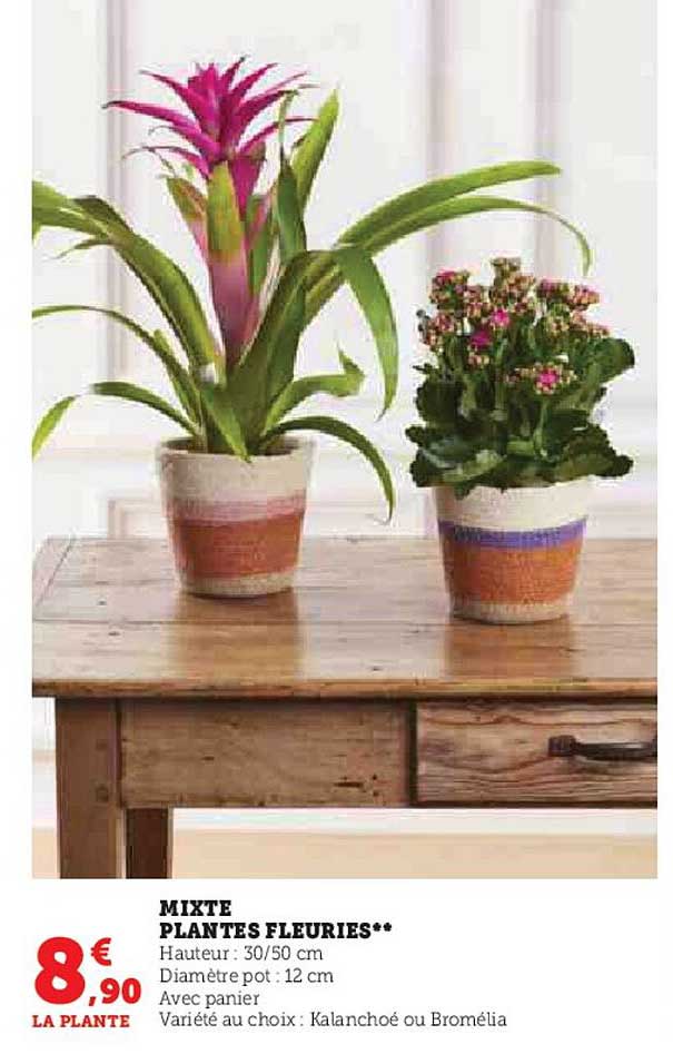 mixte plantes fleuries