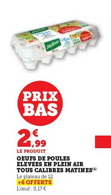 œufs de poules élevées en plein air tous calibres matines