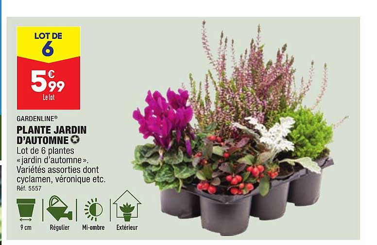 Plante Jardin D'automne Gardenline