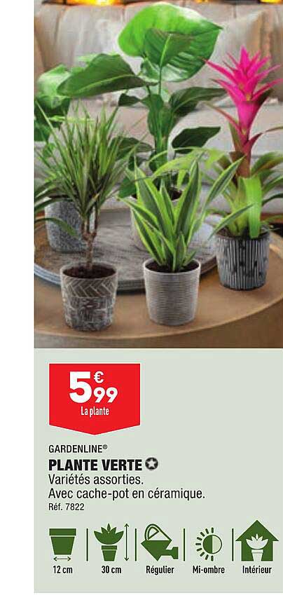 Plante Verte Gardenline