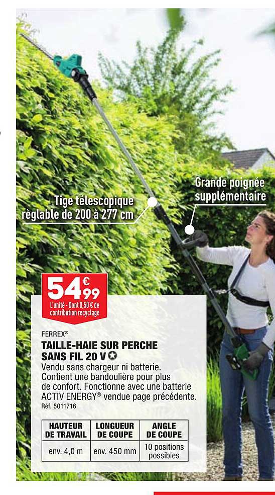 taille-haie sur perche sans fil 20 v ferrex