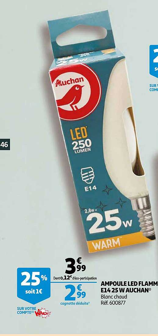 ampoule led flamme e14 25w auchan