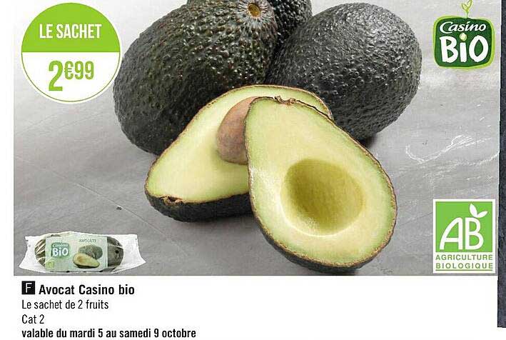 Avocat Casino Bio