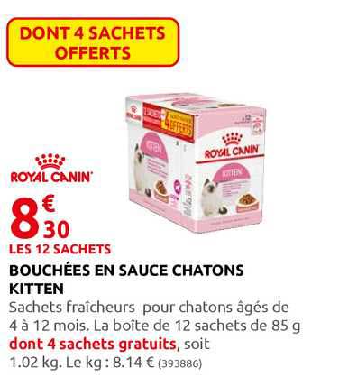 bouchées en sauce chatons kitten