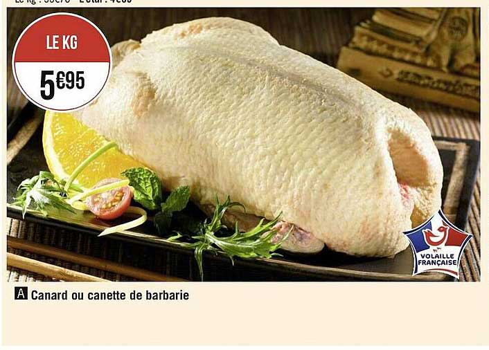 canard ou canette de barbarie