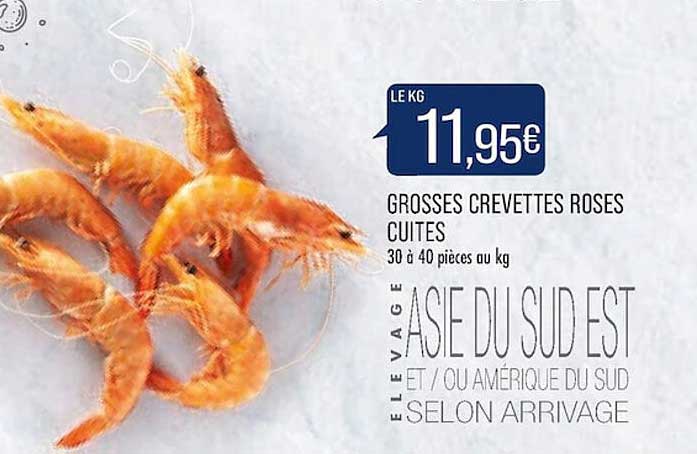 grosses crevettes roses cuites