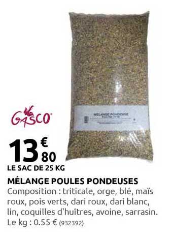 mélange poules pondeuses