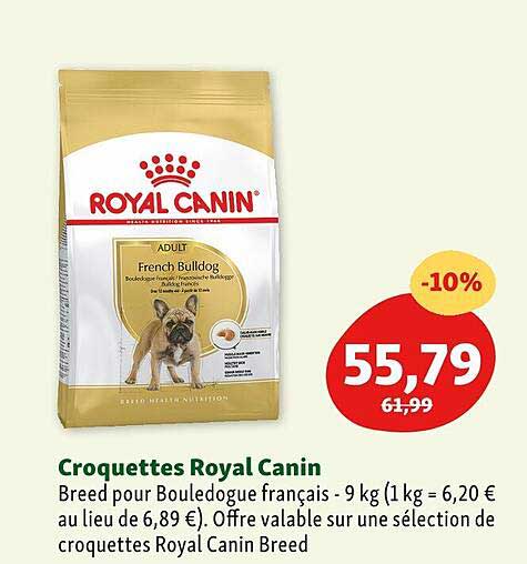 croquettes royal canin