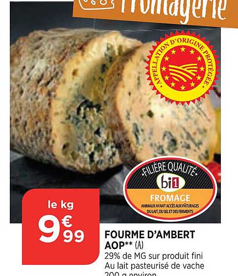 fourme d'ambert aop