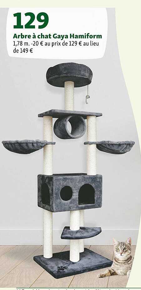 arbre à chat gaya hamiform