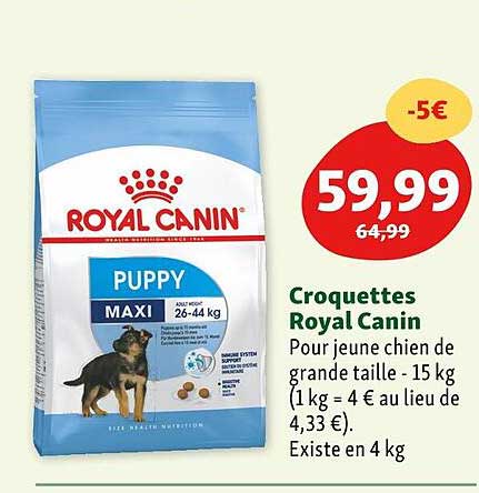 croquettes royal canin